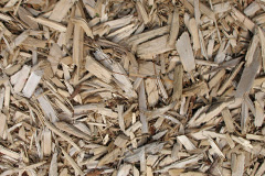 biomass boilers Long Meadowend
